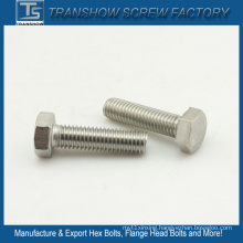 3/8-16X2 Inch 18-8 Stainless Steel Hexagon Bolts